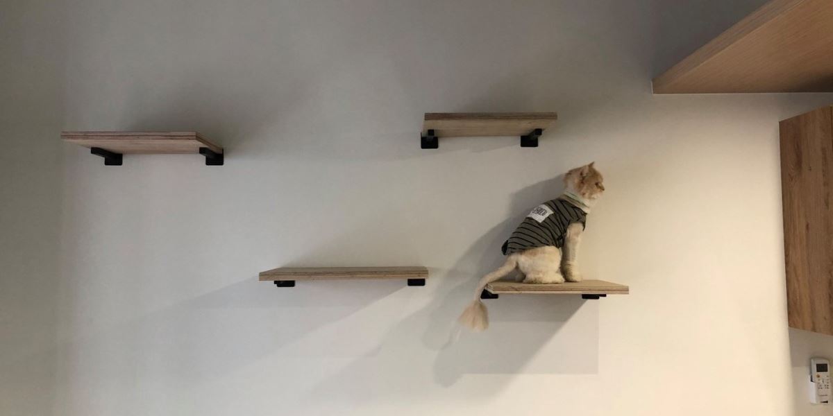 西屯透天改套房